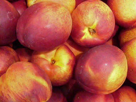 Nectarine Red Gold - PB12/18