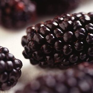 Blackberry Black Satin - Pb5/6.5
