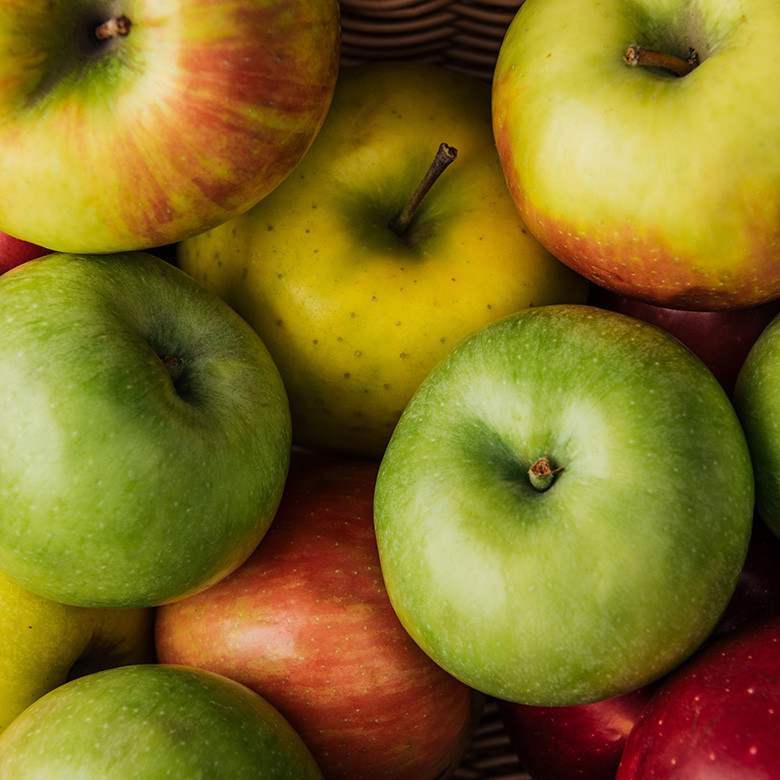 Assorted Apple Trees - Last Seasons Trees Pb12/Pb18
